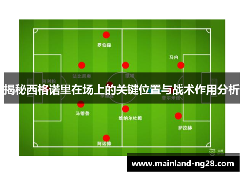 揭秘西格诺里在场上的关键位置与战术作用分析