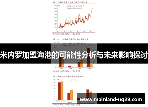 米内罗加盟海港的可能性分析与未来影响探讨