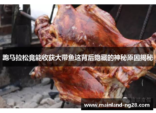 跑马拉松竟能收获大带鱼这背后隐藏的神秘原因揭秘